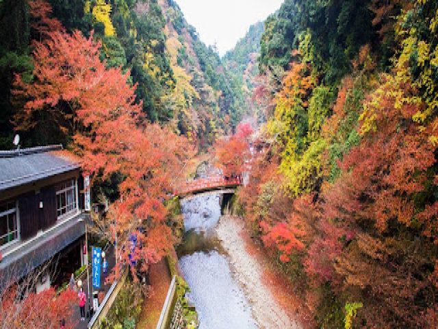 秋には紅葉が色づきます！夏には近くで蛍が見れるかも！！