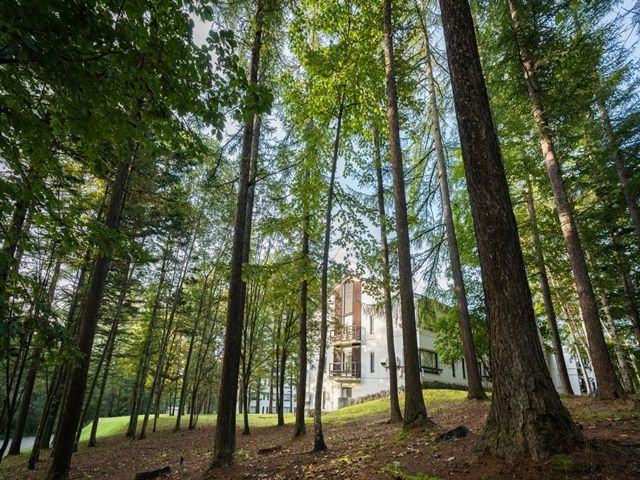 自然溢れる森のリゾートでゆったりリゾバ☆