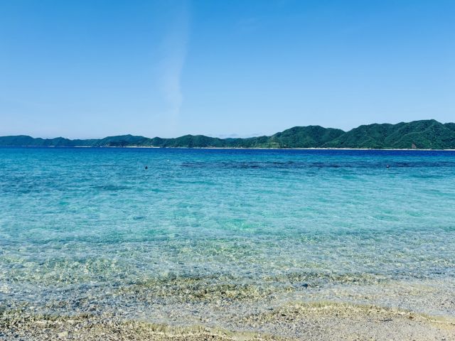 透明度の高い海が広がっています。