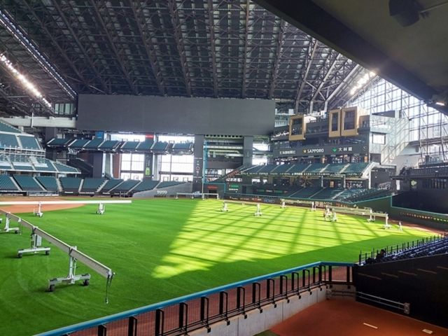 プロ野球の試合で盛り上がる会場でお仕事ができちゃいます♪