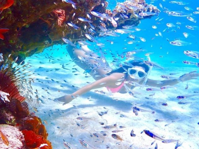 夏はスキンダイビングが楽しい!!!