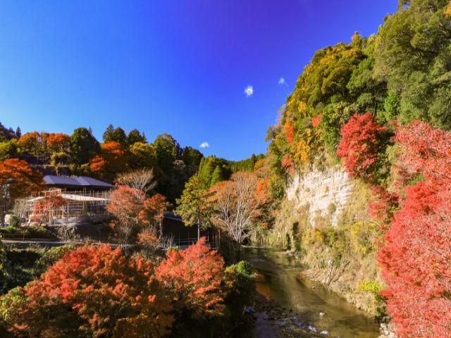 自然に囲まれたリゾート施設でのお仕事！！