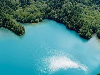 紅葉シーズンの志賀高原は絶景！国内最大級のスキー場内で自然に触れながらお仕事しませんか？