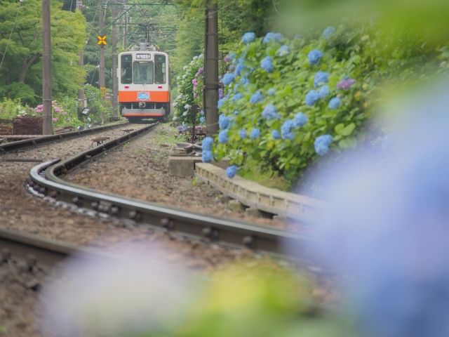 箱根での通勤のお仕事です！