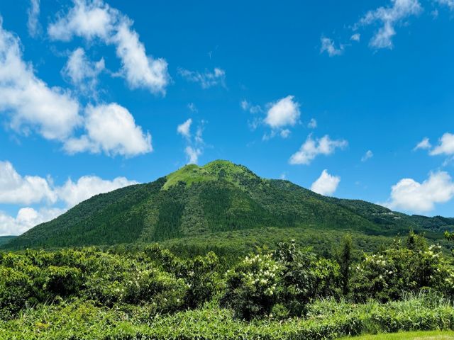 ヒューマニックスタッフさん多数在籍中！働きやすい職場環境で満了率もとっても高いです！