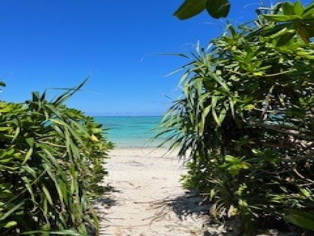 石垣の海を楽しんでください!!