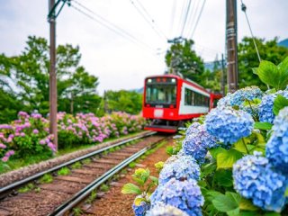 【通勤らくらく×寮綺麗】強羅のおしゃれなホテルでのお仕事です！