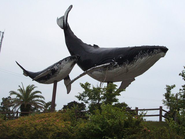 くじらの町です♪