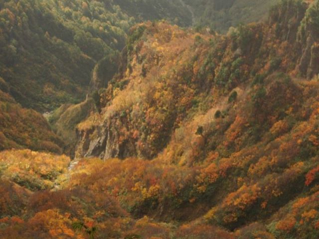 四季折々に様々な表情を見せる雄大な新潟の山々。日本って美しいです。