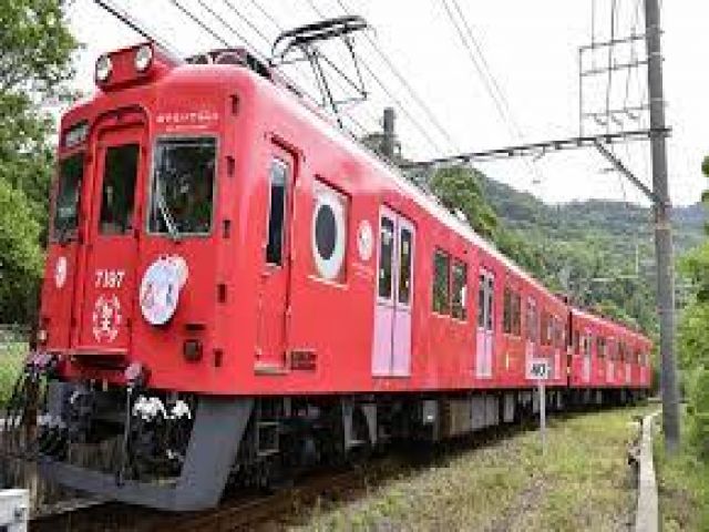 ご当地のものも豊富です♪