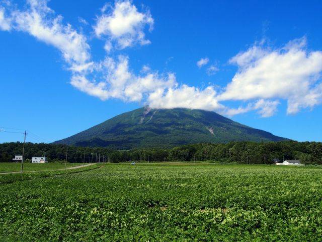 夏のニセコは景色が抜群♪マイナスイオン感じてください！