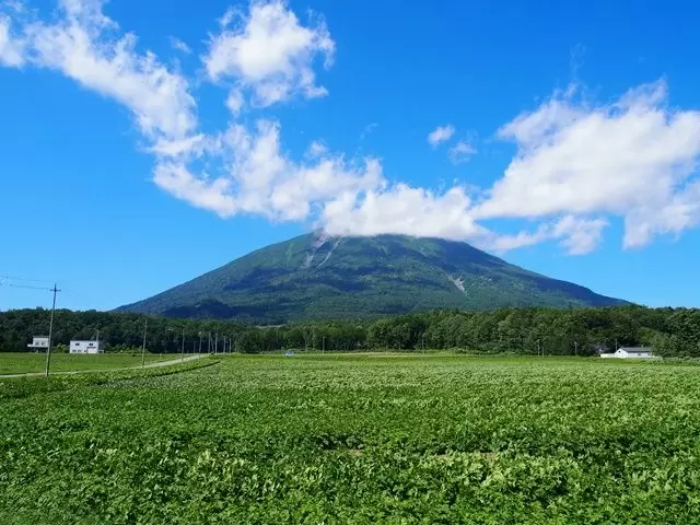 雄大な羊蹄山は圧巻です。