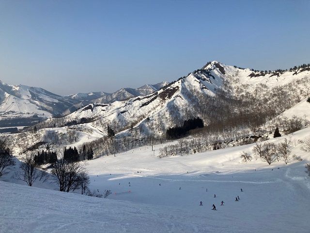 冬の思い出作りましょう！