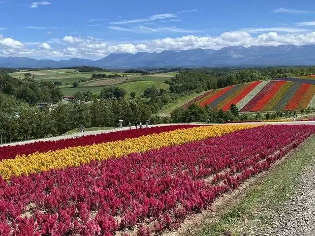大人気エリア【富良野】でリゾバ☆