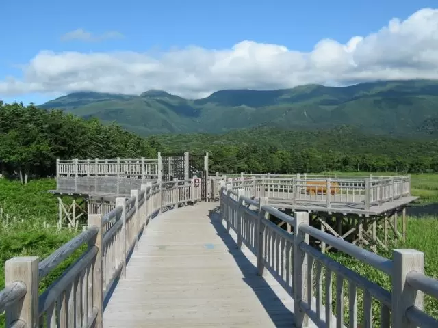 原生林に囲まれてた幻想的な観光エリア☆