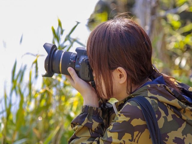 フォトスポット多数