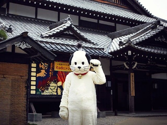 ひょっとしたらニャンマゲに会えちゃうかも！？