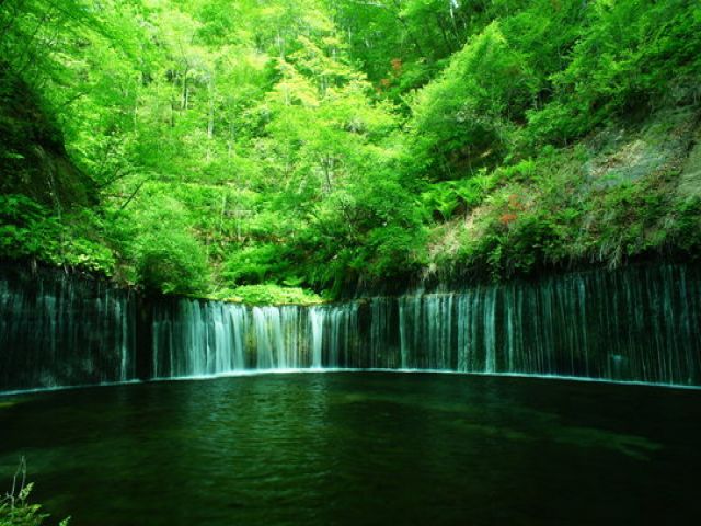 自然に囲まれた地域です！