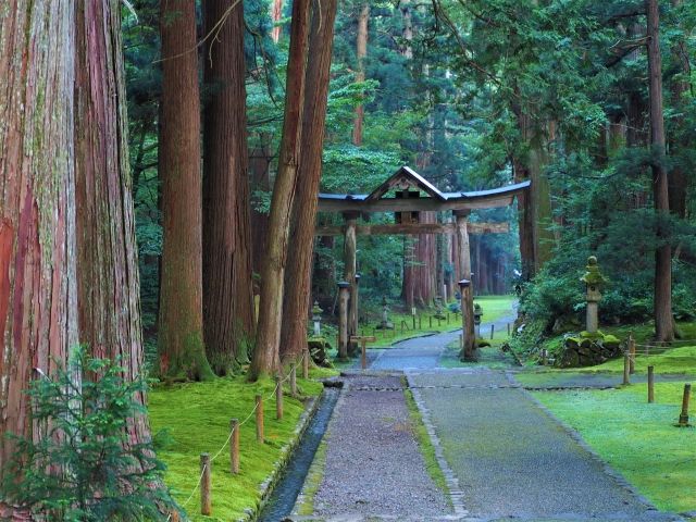 パワースポット！！