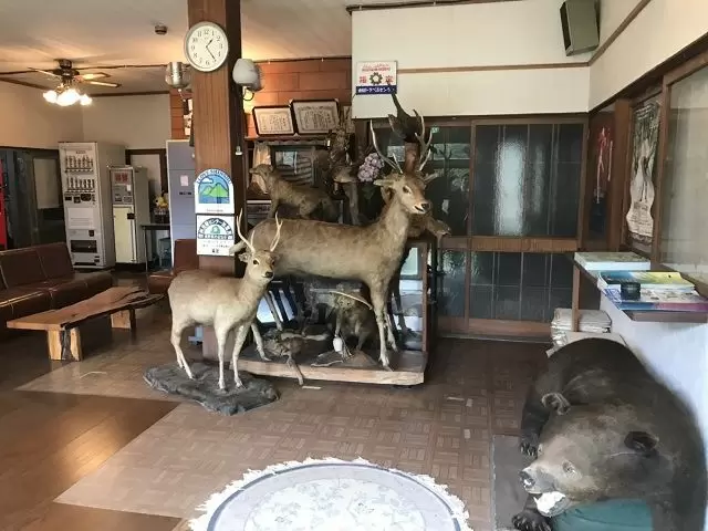施設のエントランスです！