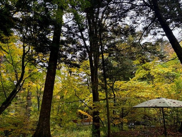 自然も多く、避暑地のエリアです