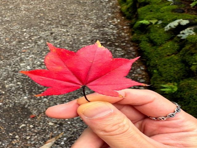 オープン間もない求人なので出会いもたくさんあります！