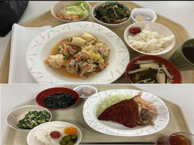 無料で食べれる食堂のご飯も美味しいと評判◎