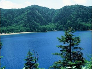 受け入れ抜群！