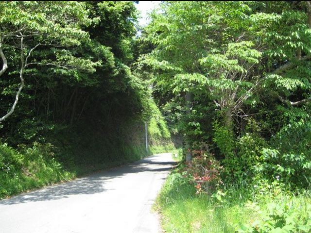 周辺は、新緑が綺麗な場所です