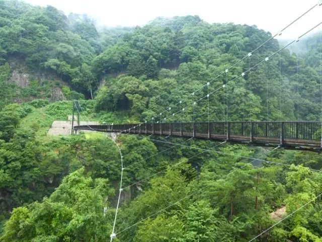 空気が気持ちいい♪休みの日吊り橋までおりて気分をリフレッシュ！