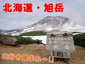 しっかり稼げる！調理に興味ある方は歓迎です。