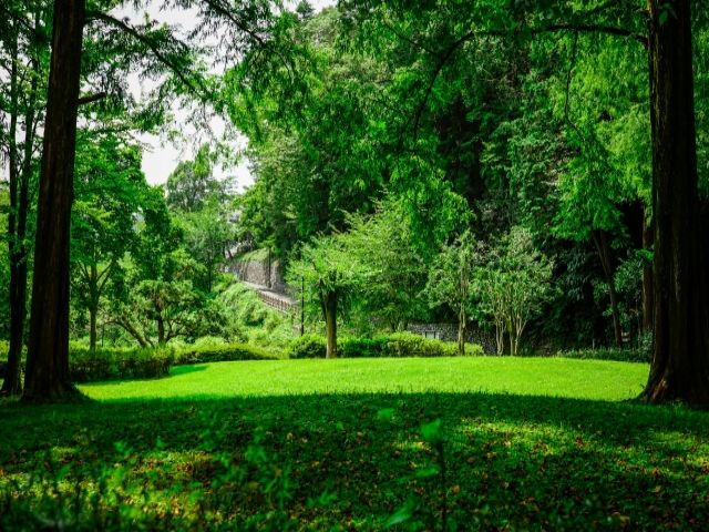 自然豊かな青梅市での求人です！