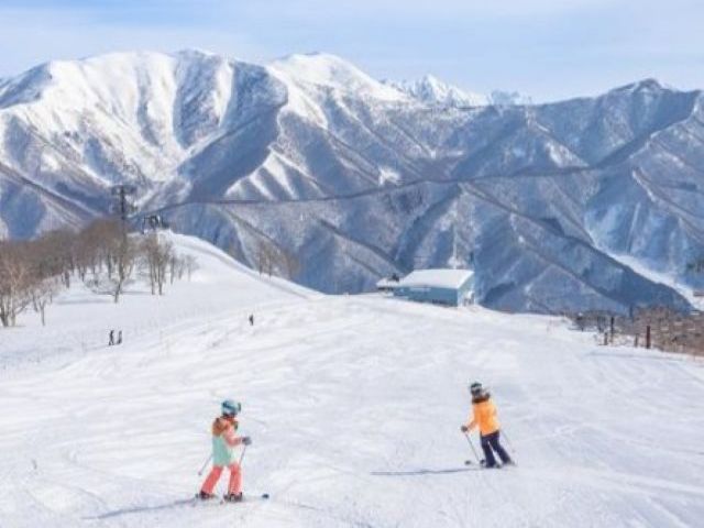 リフト券も無料で付いてきますので、
いっぱい稼いで、いっぱい滑りましょう！