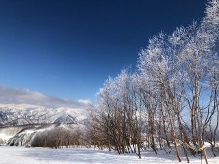 【人気エリア苗場】☆未経験の方も大歓迎♪冬のお仕事です！！