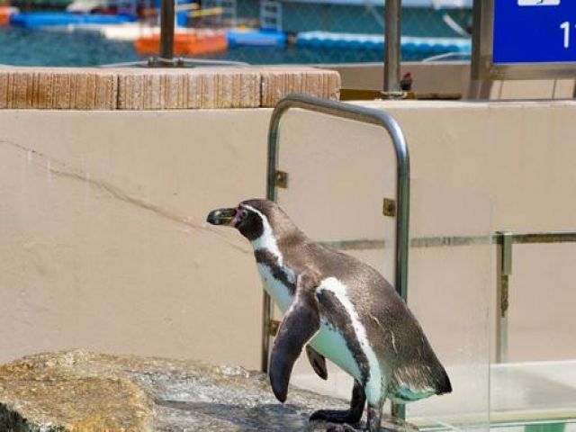 下田は海だけでなく、観光スポットも豊富で楽しみ方はたくさん！休日も満喫してください！