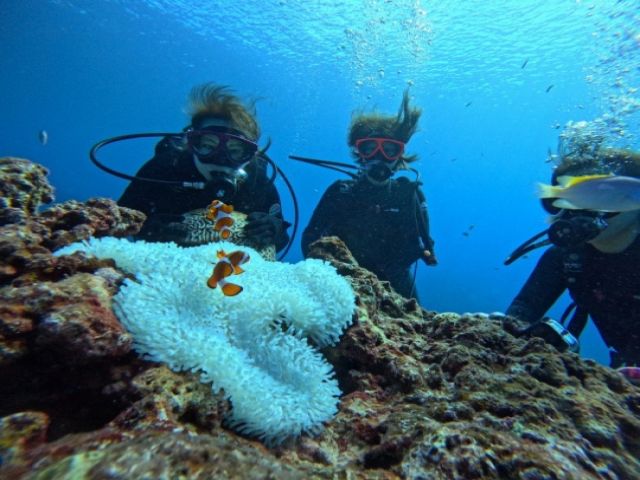 恩納村エリアは海も綺麗ですので、沖縄感満載♪