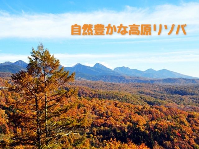 自然たっぷりの高原リゾバ!