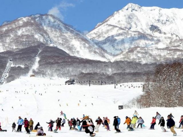 冬はスキーで賑わうエリアです！