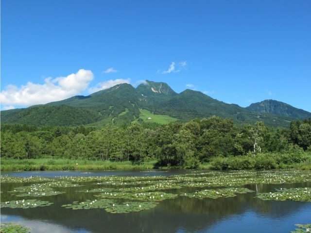 自然が豊かで平地より若干の涼しさを感じます！