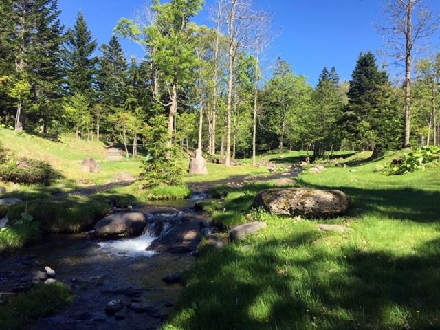 自分だけのお気に入りスポットを探してみよう！