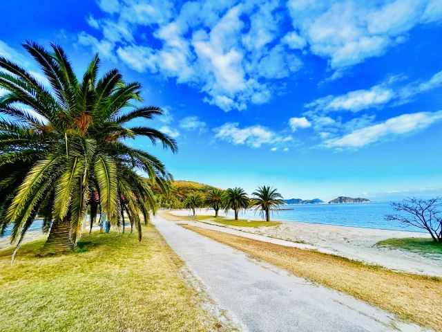 少し離れればきれいな海が広がっています！