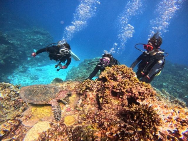 休日は沖縄の綺麗な海でマリンくてぃビティで息抜き♪