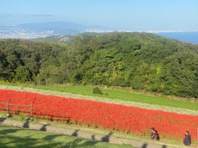 淡路島は離島ながらアクセスが良く、大人気の観光地です！