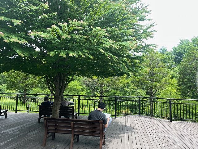 緑がたくさんあり、自然を身近に感じることができます♪