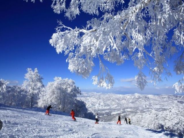 東京ドーム約63個分の広さを誇る日本最大規模のスノーエリア
良質なスノーパウダーを楽しんで