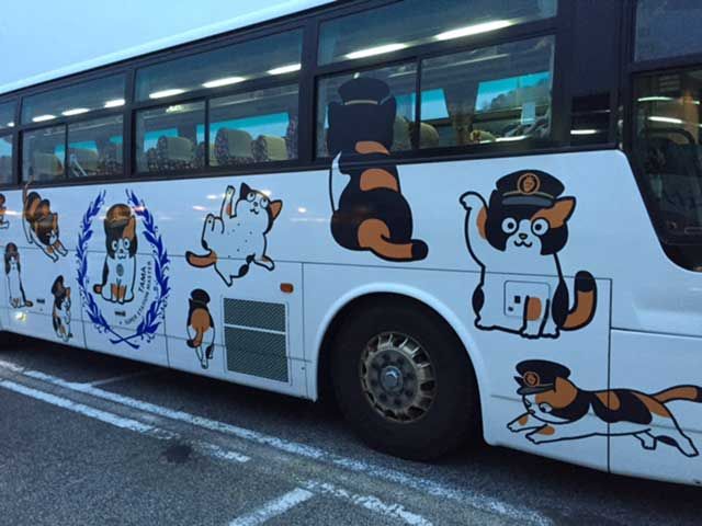 歌山のシンボルマークと言っても過言ではない駅長「たま」がラッピングしたバス(^^）