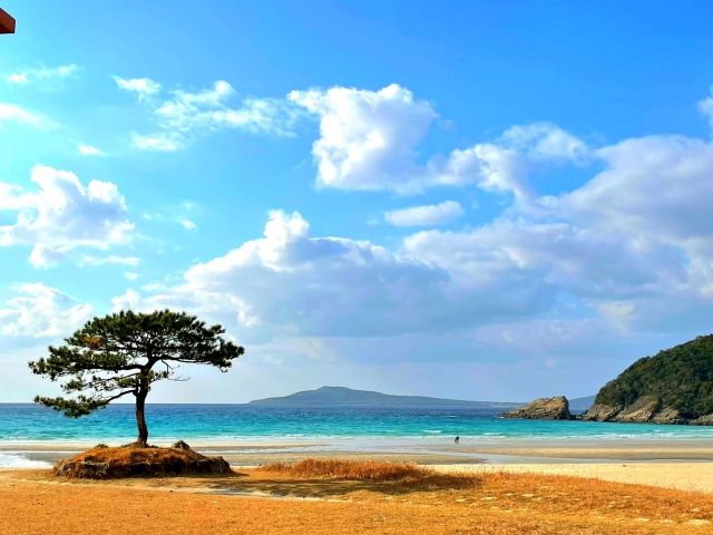 夕焼け！ＳＵＰ、沖釣り、ダイビング、海水浴など海レジャーがいっぱい。