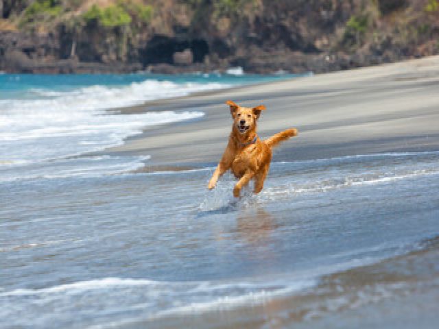 勤務中はワンちゃんに癒される(^^♪