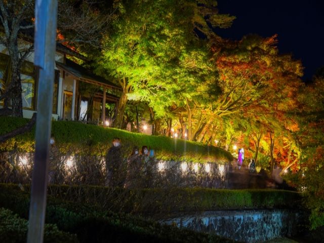 夜景もきれいな修善寺です