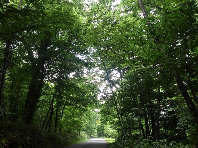 都会の喧騒を忘れて、癒しのロケーションでリゾバ、しませんか。